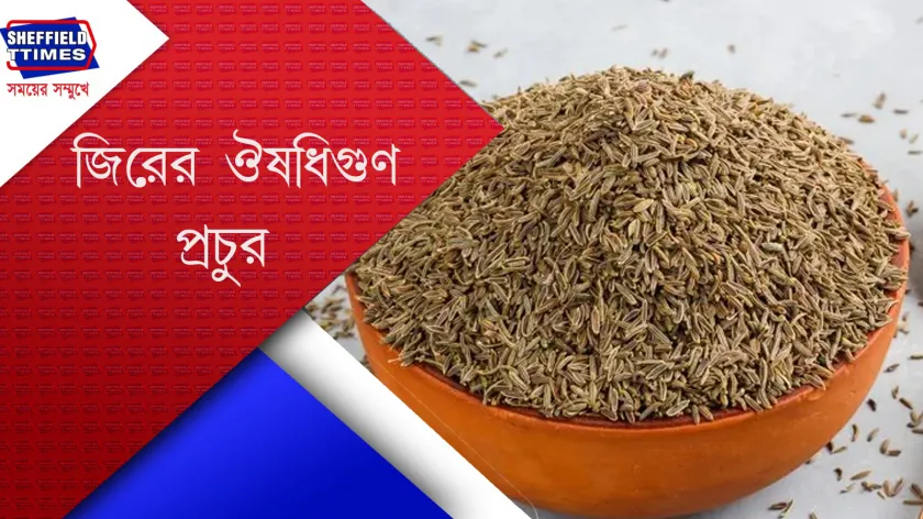 Business : 'জিরা' চাষে প্রচুর লাভের মুখ দেখছে কৃষকরা 