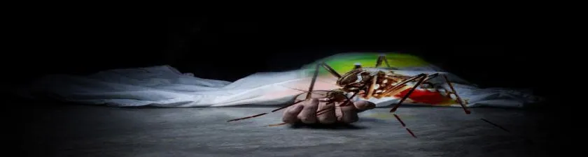 Dengue: কলকাতায় ফের ডেঙ্গিতে মৃত্যু, প্রয়াত চক্ষুরোগ বিশেষজ্ঞ দেবদ্যুতি চট্টোপাধ্যায়