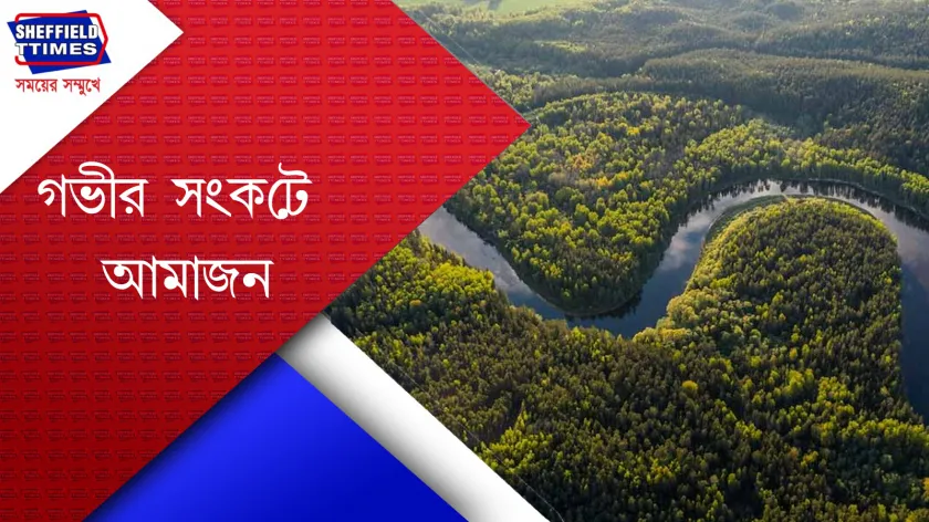 Amazon : গত কয়েক বছর ধরে কমছে আমাজন নদীর জলস্তর 