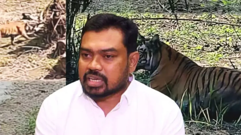  বাঘিনী