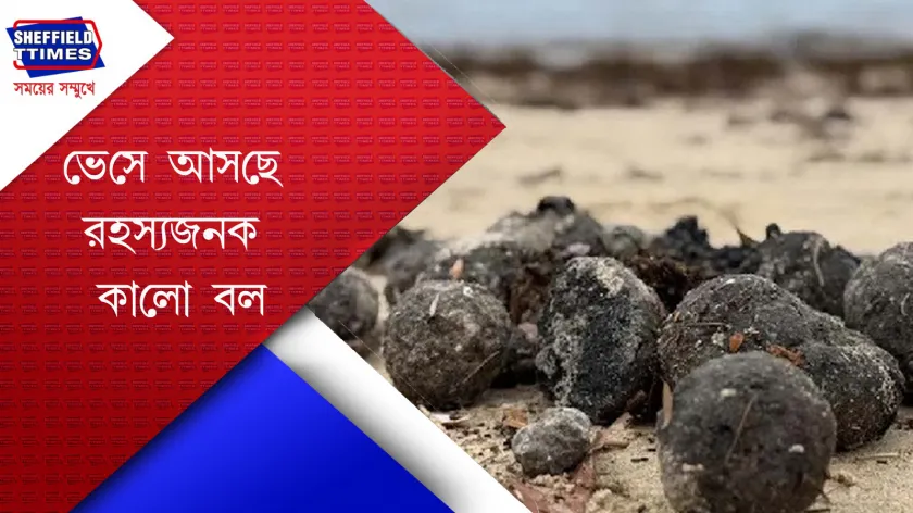 Sydney's Coogie Beach : সৈকতে ‘রহস্যময়’ কালো বল