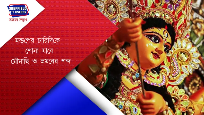 Durga Puja : ট্যাংড়ার কামার ডাঙার বছরের থিম - 'মধু মহল'