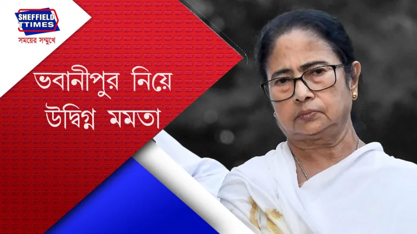 Mamata Banerjee :  কিছুটা হলেও কি শঙ্কিত মমতা ?