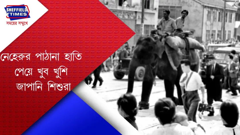 India: নেহরুর মেয়ের নাম অনুসারে  হাতির নাম