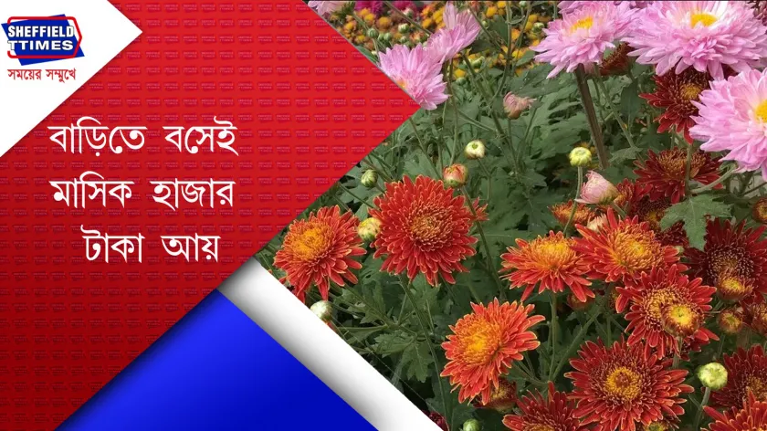 Earn Money: শীতকালে মরশুমি ফুলের ব্যবসায় প্রচুর লাভ 