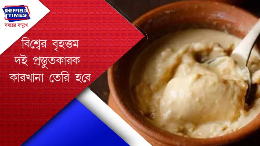Amul : দই প্ৰিয় বাঙালির কাছে সুসংবাদ