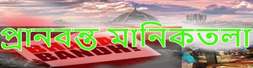 ধর্মঘটের ছায়া পেরিয়ে প্রাণবন্ত মানিকতলা