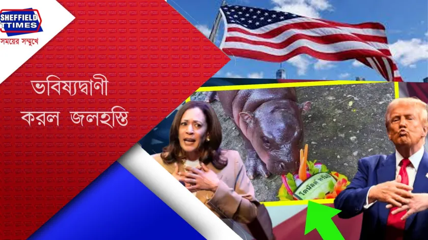 US : কে হবেন পরবর্তী আমেরিকান প্রেসিডেন্ট ? 
