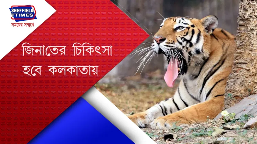 Kolkata : জিনাতকে আনা হলো আলিপুর চিড়িয়াখানায় 