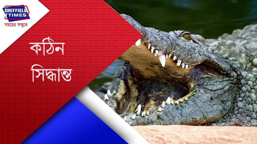 Thailand : একসঙ্গে ১০০টি কুমির হত্যা 
