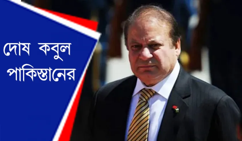 India-Pakistan : দোষ কবুল পাকিস্তানের