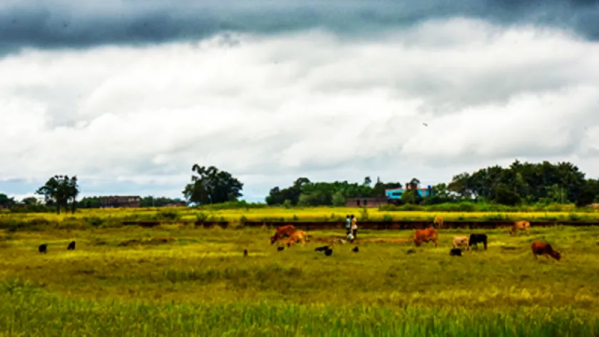 আবহাওয়া 