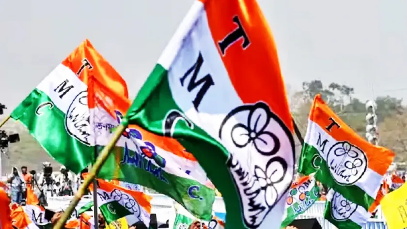 উপনির্বাচন