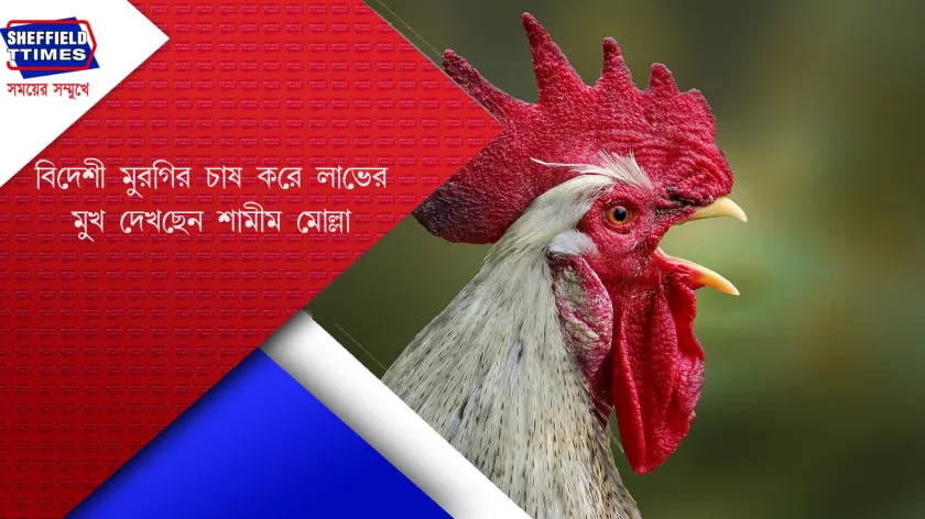 Business : বাণিজ্যতেই লক্ষ্মীর বাস