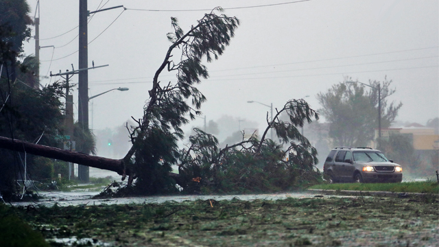 Weather Forecast: দক্ষিণবঙ্গে প্রবল ঝড়বৃষ্টির পূর্বাভাস! মৎস্যজীবীদের সমুদ্রে যেতে নিষেধ
