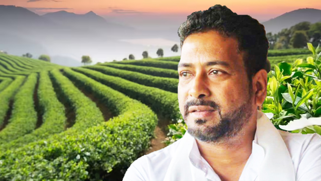 Shankar Ghosh: চা বাগানের ব্যাপক উন্নয়নের বার্তা পর্যটন মন্ত্রীর!